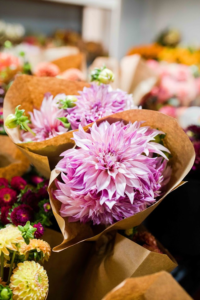 dahlias bouquets wrapped in kraft paper