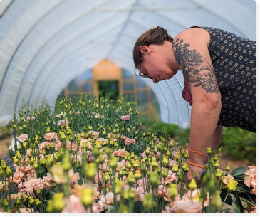 a woman cutting flowers