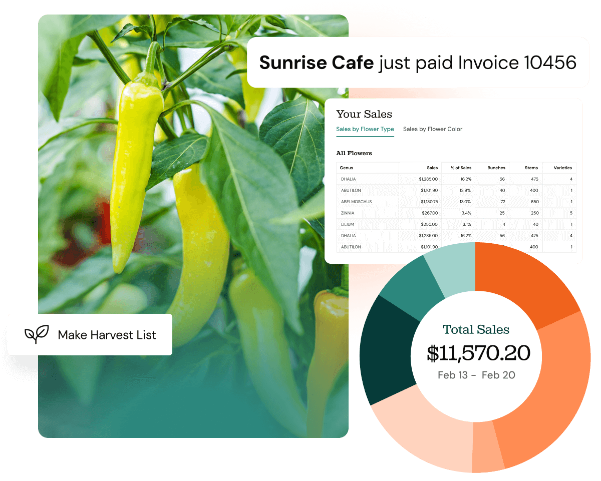 Back office management meets ecommerce marketplace