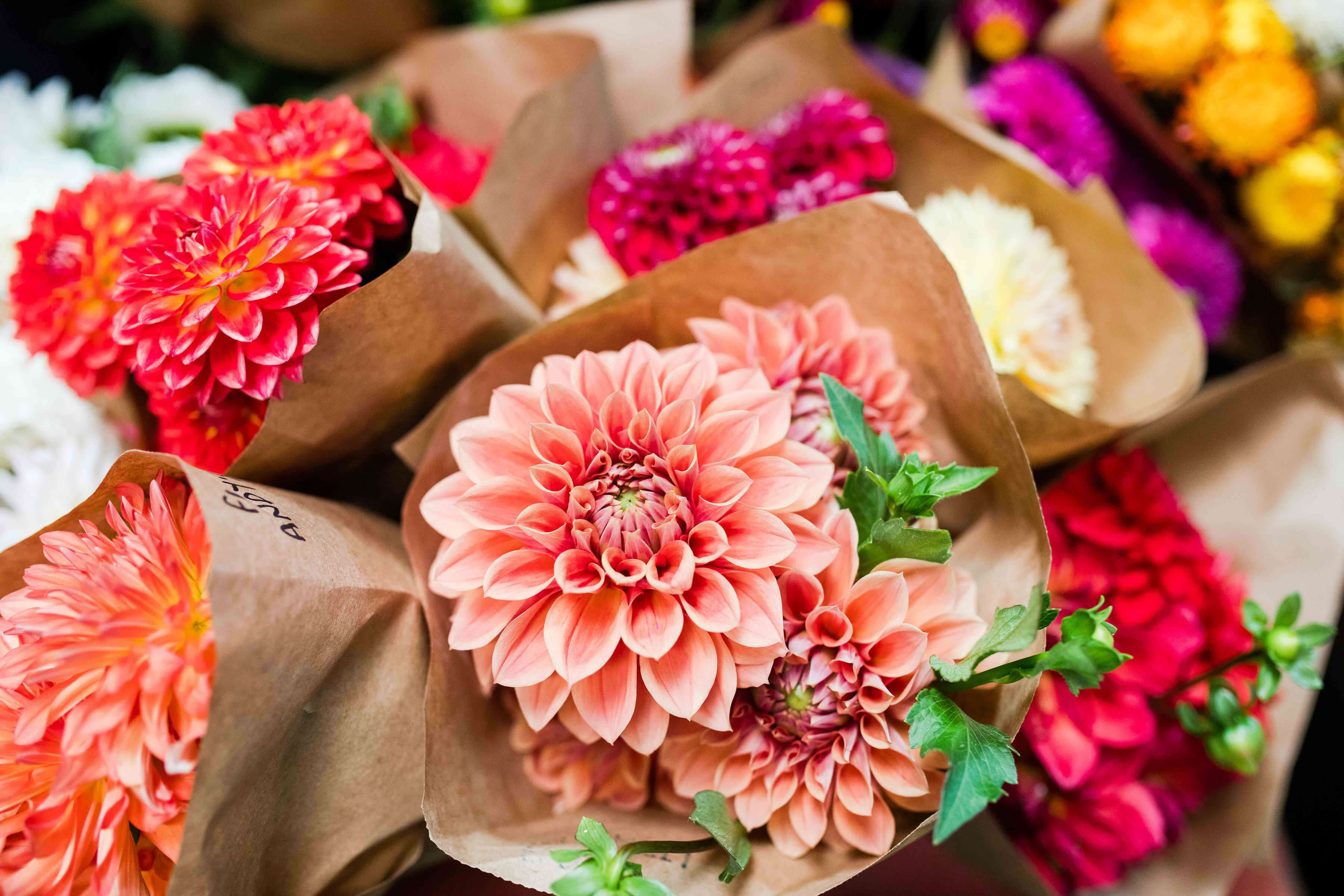 Flower Podcast featuring Amelia