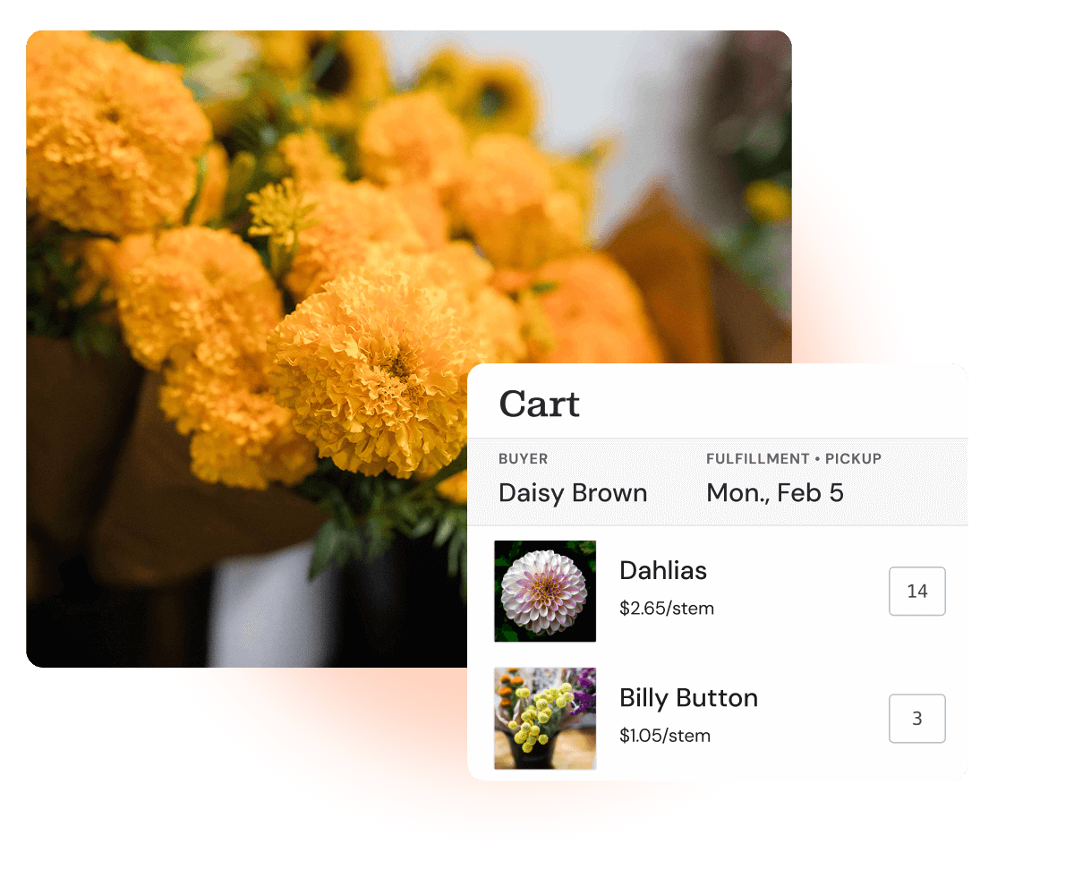 Create your free account