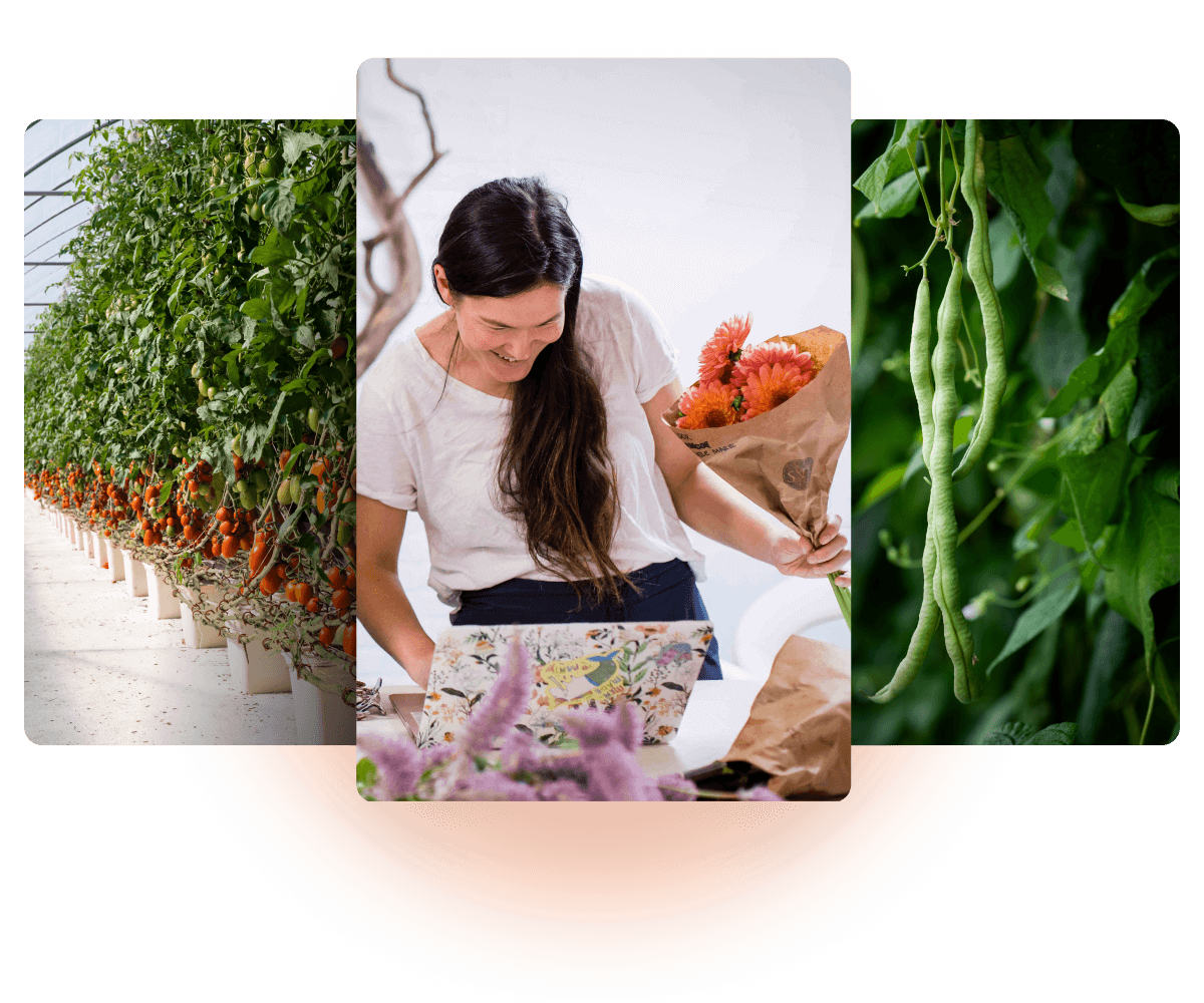 Rooted Farmers wholesale marketplace interface