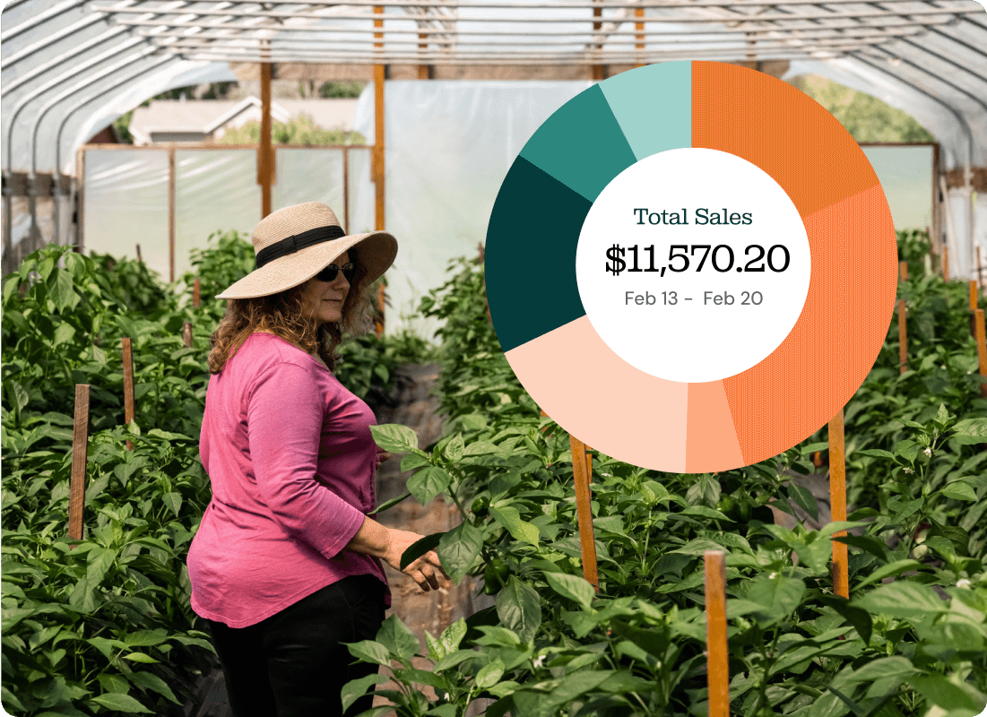 How Rooted Farmers works