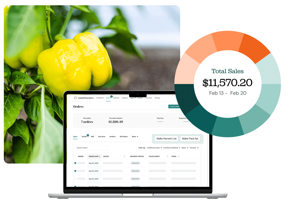 Back office management meets ecommerce marketplace