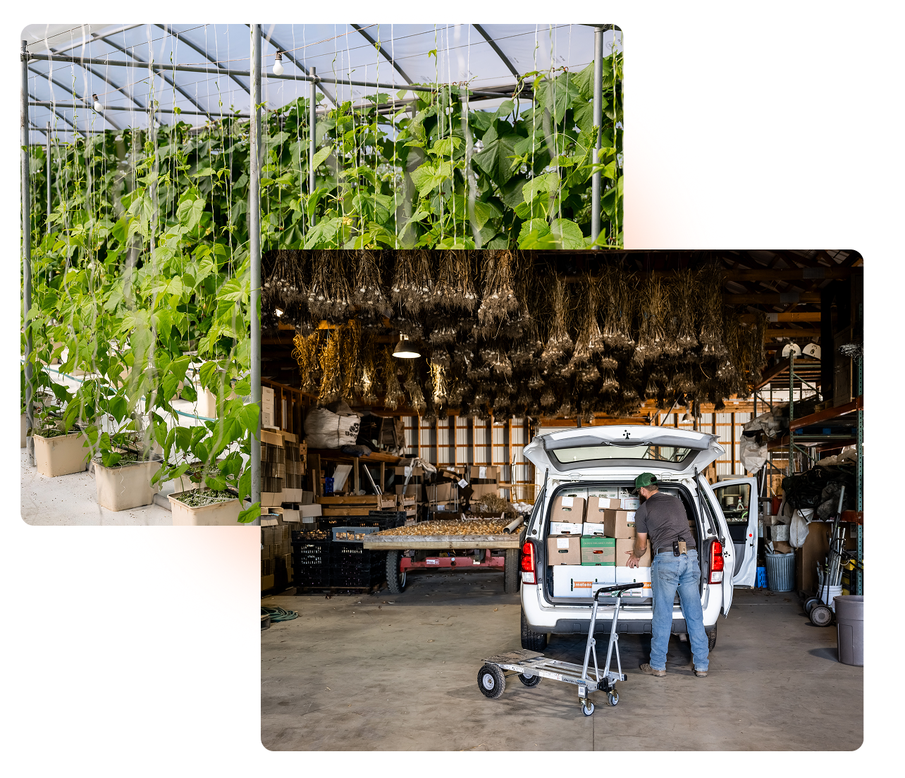 Grant eligibility requirements