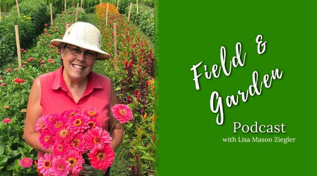 Woman standing in rows of flowers, field and garden podcast with Lisa Mason Ziegler